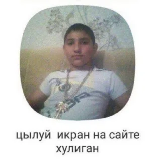 🌟 emoji Кулетяпка Telegram sticker 11 of 53