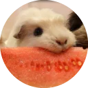 🍉 emoji Fat Cuy Telegram sticker 23 of 120