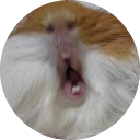 😫 emoji Fat Cuy Telegram sticker 5 of 120