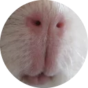 👄 emoji Fat Cuy Telegram sticker 18 of 120