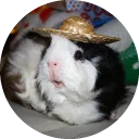 🎩 emoji Fat Cuy Telegram sticker 17 of 120