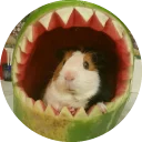 🍉 emoji Fat Cuy Telegram sticker 21 of 120