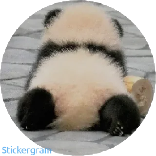 🍑 emoji Panda 🐼 Telegram sticker 7 of 8