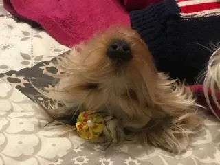 😴 emoji Маша Telegram sticker 18 of 20