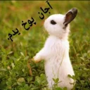 😰 emoji 🐰دوشان🐰 Telegram sticker 16 of 52