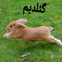 🏃 emoji 🐰دوشان🐰 Telegram sticker 6 of 52