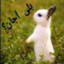 😰 emoji 🐰دوشان🐰 Telegram sticker 9 of 52