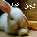 💤 emoji 🐰دوشان🐰 Telegram sticker 8 of 52