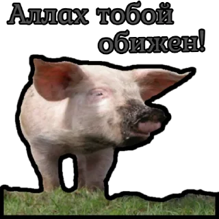 Sticker from ⚡️ @KuKluxRussia ⚡️