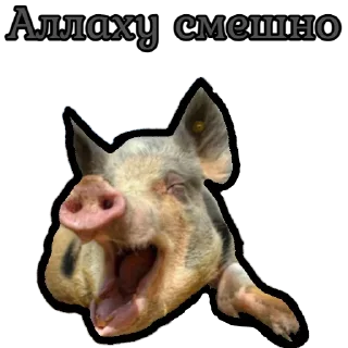 Sticker from ⚡️ @KuKluxRussia ⚡️