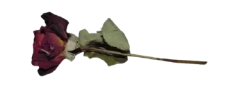 Sticker from 𝒞ℎ𝑒𝑟𝑟𝑦 ꣑ৎ ℬ𝑒𝑟𝑟𝑦