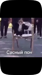 Sticker from Обезьянки поны 3