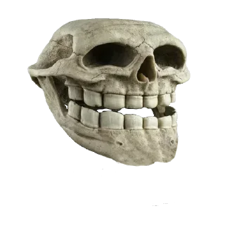 💀 emoji 😈 Telegram sticker 8 of 13