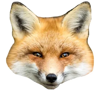🙂 emoji Il Volpo Telegram sticker 17 of 20