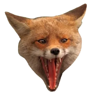 😧 emoji Il Volpo Telegram sticker 8 of 20
