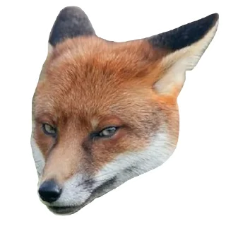 🤨 emoji Il Volpo Telegram sticker 13 of 20