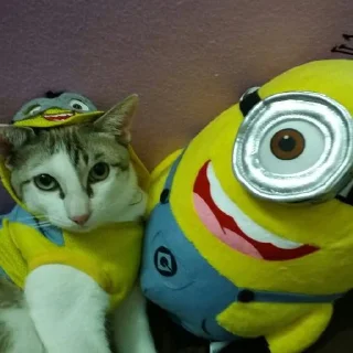 😸 emoji миньончики Telegram sticker 11 of 51
