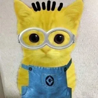 🐱 emoji миньончики Telegram sticker 7 of 51