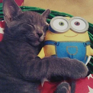 💤 emoji миньончики Telegram sticker 13 of 51