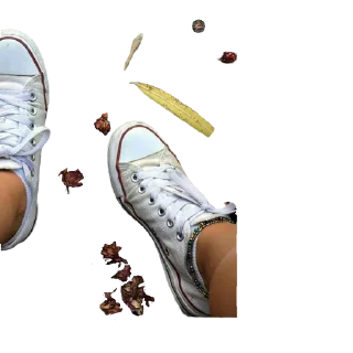 👟 emoji PTJ⚜️soul All Star Telegram sticker 13 of 74