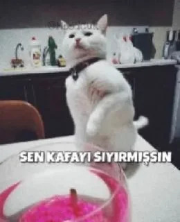 😒 emoji ⚜️Yiğit Özr ⚜️ Telegram sticker 23 of 25