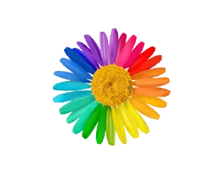 🌻 emoji Ptj ⚜️ Soul colors Telegram sticker 11 of 120