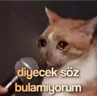 Sticker from ⚜️Yiğit Özr ⚜️