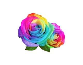 🌹 emoji Ptj ⚜️ Soul colors Telegram sticker 9 of 120