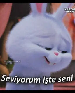 Sticker from ⚜️Yiğit Özr ⚜️