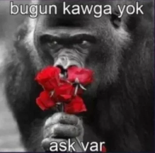 😊 emoji @Bir_Beyfendi @AsenaUserBot Paketi 2 Telegram sticker 1 of 32