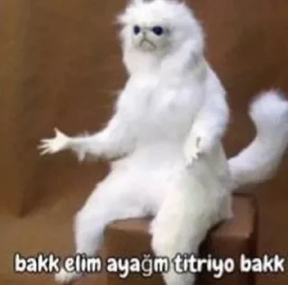 😤 emoji @Bir_Beyfendi @AsenaUserBot Paketi 2 Telegram sticker 19 of 32