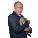 🐱 emoji Vladimir Putin Telegram sticker 23 of 48