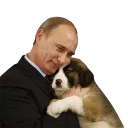 🐶 emoji Vladimir Putin Telegram sticker 20 of 48