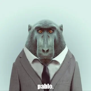 Sticker from Pablo