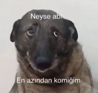 🤪 emoji RAİDER Telegram sticker 11 of 11