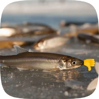 👎 emoji Fish Telegram sticker 18 of 20