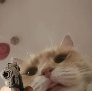 🔫 emoji Obash @Darkdate Telegram sticker 15 of 120