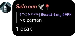 👩‍🔧 emoji CHARLIE'NIN MELEKLERİ pack by @QuotLyBot Telegram sticker 8 of 120