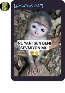 🐃 emoji CHARLIE'NIN MELEKLERİ pack by @QuotLyBot Telegram sticker 10 of 120