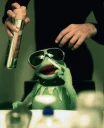 😎 emoji Kermit the frog Telegram sticker 3 of 52