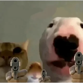 😐 emoji Bull Terrier Telegram sticker 23 of 43