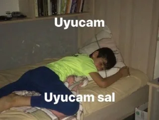 🫶 emoji KURALLAR ÇİĞNENMEK İÇİN VAR AMINA KOYİM Telegram sticker 22 of 32