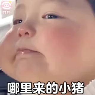 😭 emoji 小丸子2✈️飞机会员代开 @piya Telegram sticker 6 of 50
