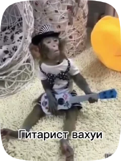 🦍 emoji Обезьянки поны 8 Telegram sticker 16 of 33