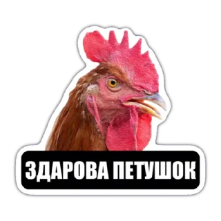 👋 emoji Samara Telegram sticker 5 of 13