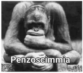 🐵 emoji pianeta delle scimmie Telegram sticker 18 of 87