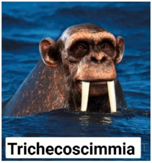 🐵 emoji pianeta delle scimmie Telegram sticker 1 of 87