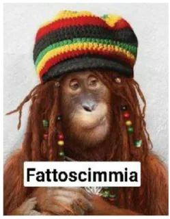 🐵 emoji pianeta delle scimmie Telegram sticker 15 of 87