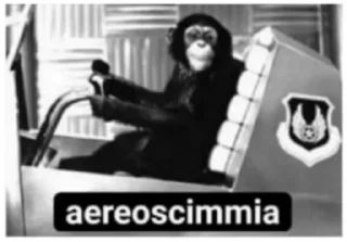 🐵 emoji pianeta delle scimmie Telegram sticker 7 of 87