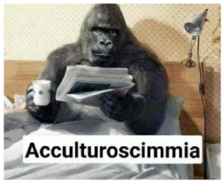 🐵 emoji pianeta delle scimmie Telegram sticker 4 of 87